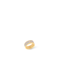 Nanogram Enamel Ring