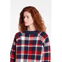 Long Raglan Sleeve Check Pullover
